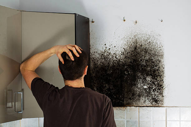 Best Residential Mold Remediation in Mascot, TN